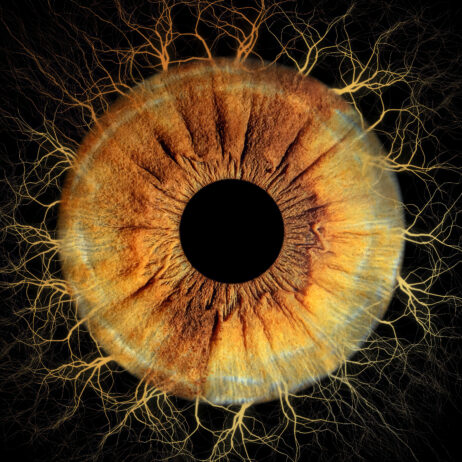 11111113018715911463759793jfj-upscale-2.7x-copy-462x462