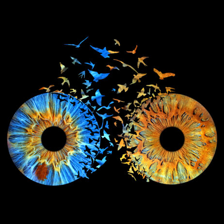 1111111438274004781301241jfj-upscale-2.7x-copy-462x462