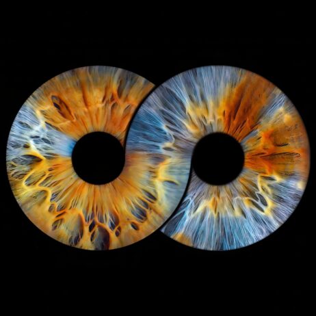 11111114608906145658976667jfj-denoise-sharpen-upscale-2.7x-462x462