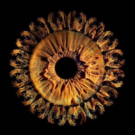 1111113254904108436603666jfj-upscale-2.7x-copy-462x462