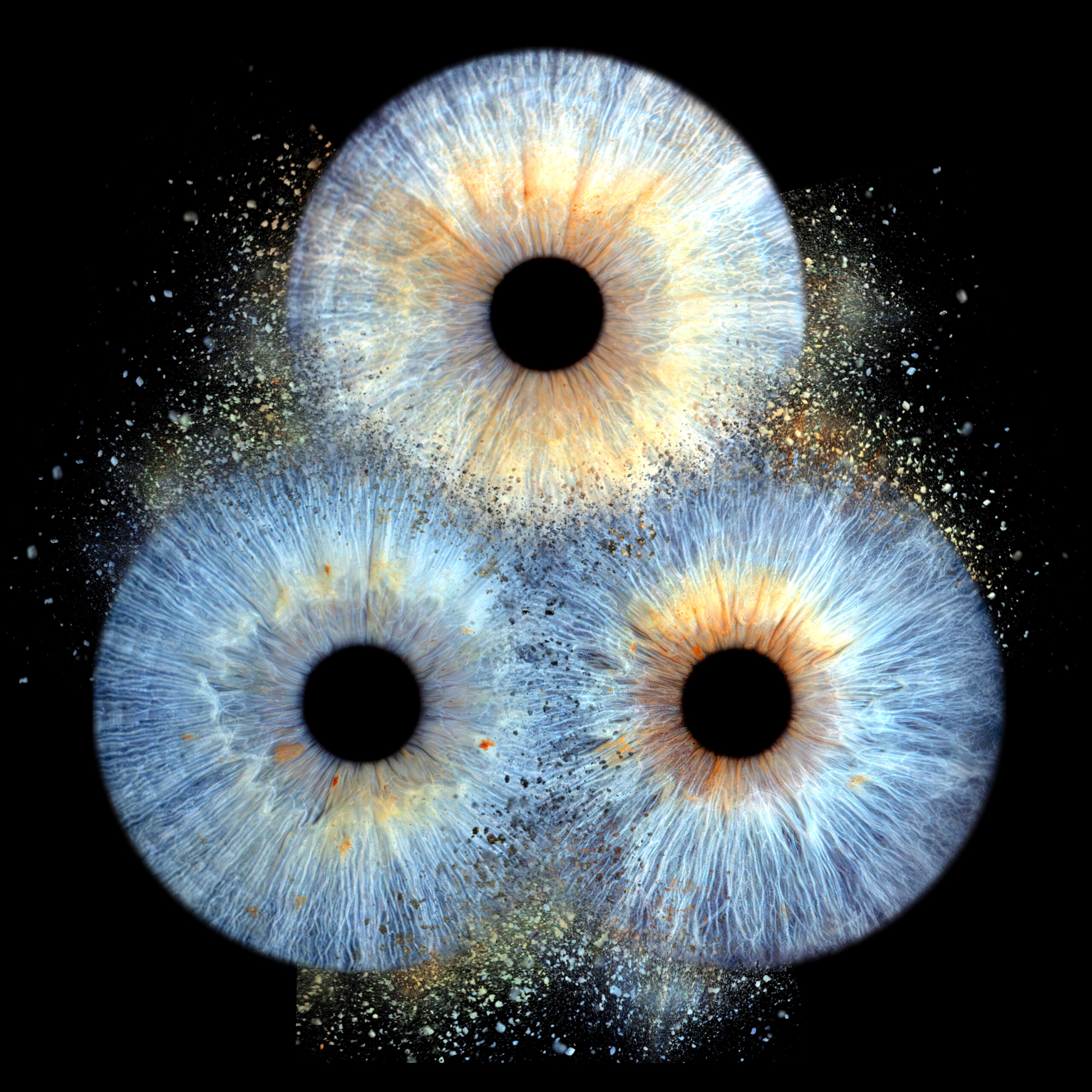 3 iris collosion_edited