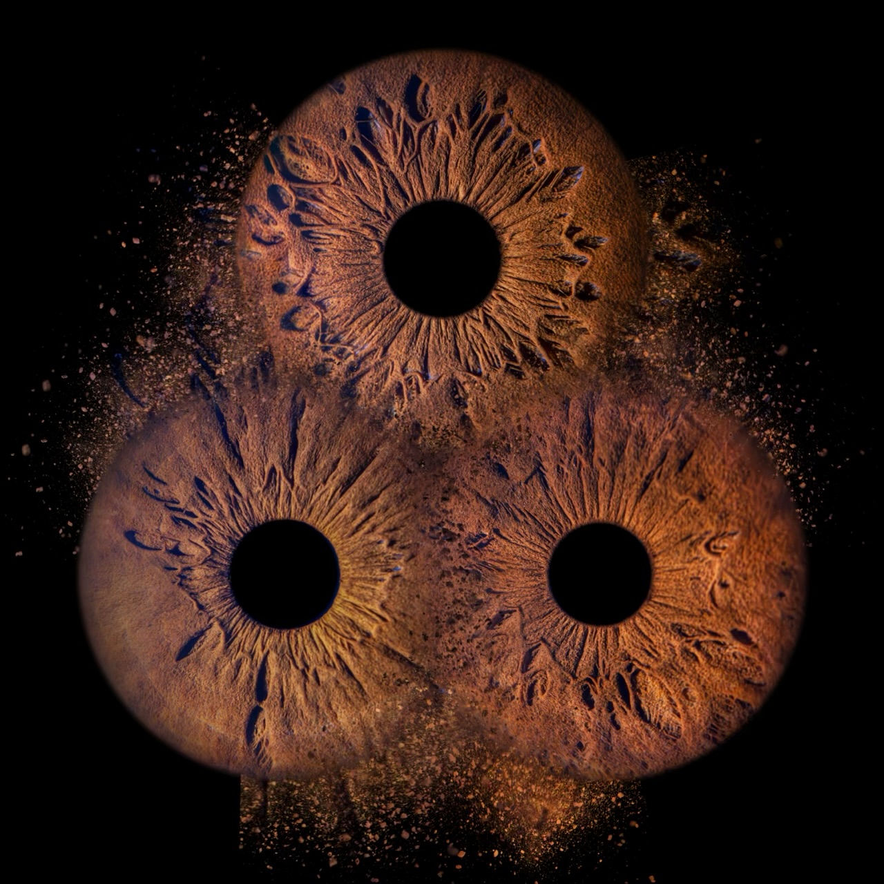 533136445_18188543662321741_5391569183568523889_n