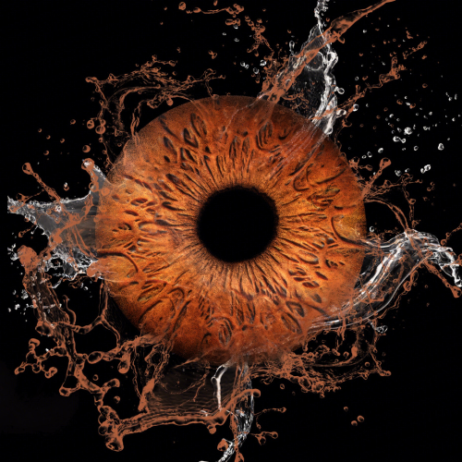 Untitled-design-36-462x462