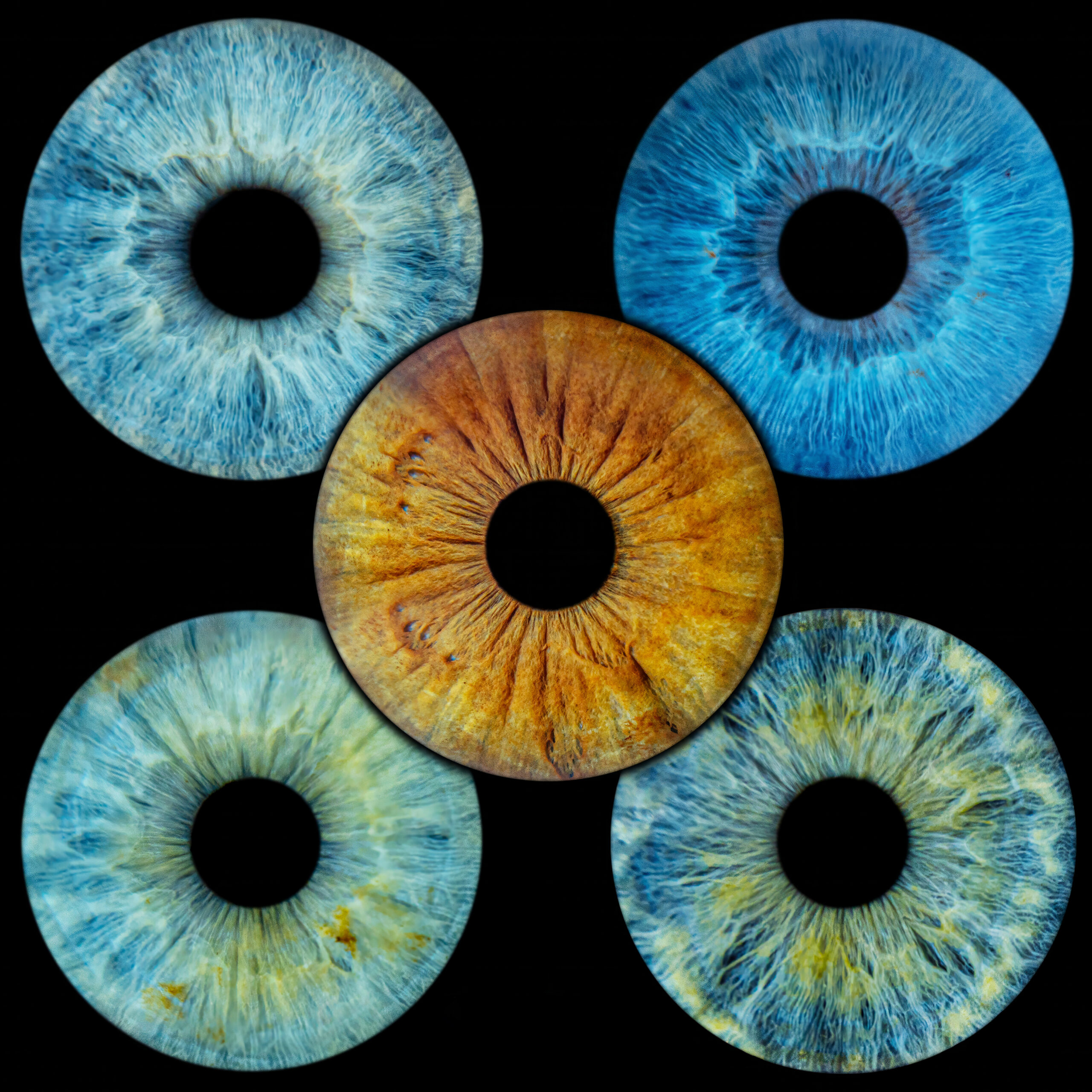 -fghfjhThe Devines (2)jfj-denoise-sharpen copy