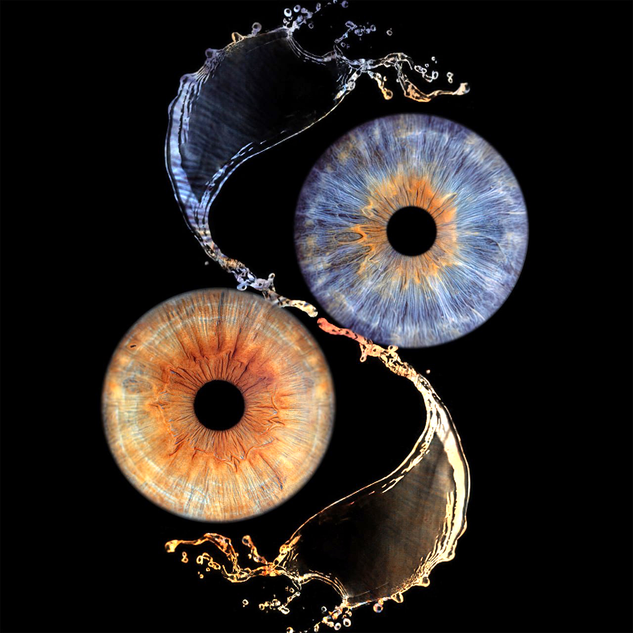 photo_2025-05-05 22.19_edited