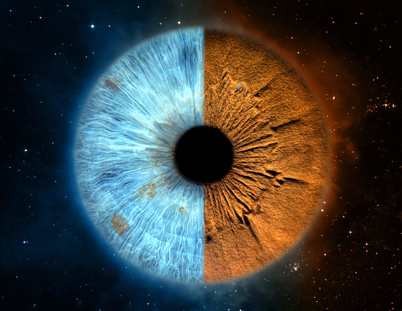 photo_2025-05-05 22.20_edited