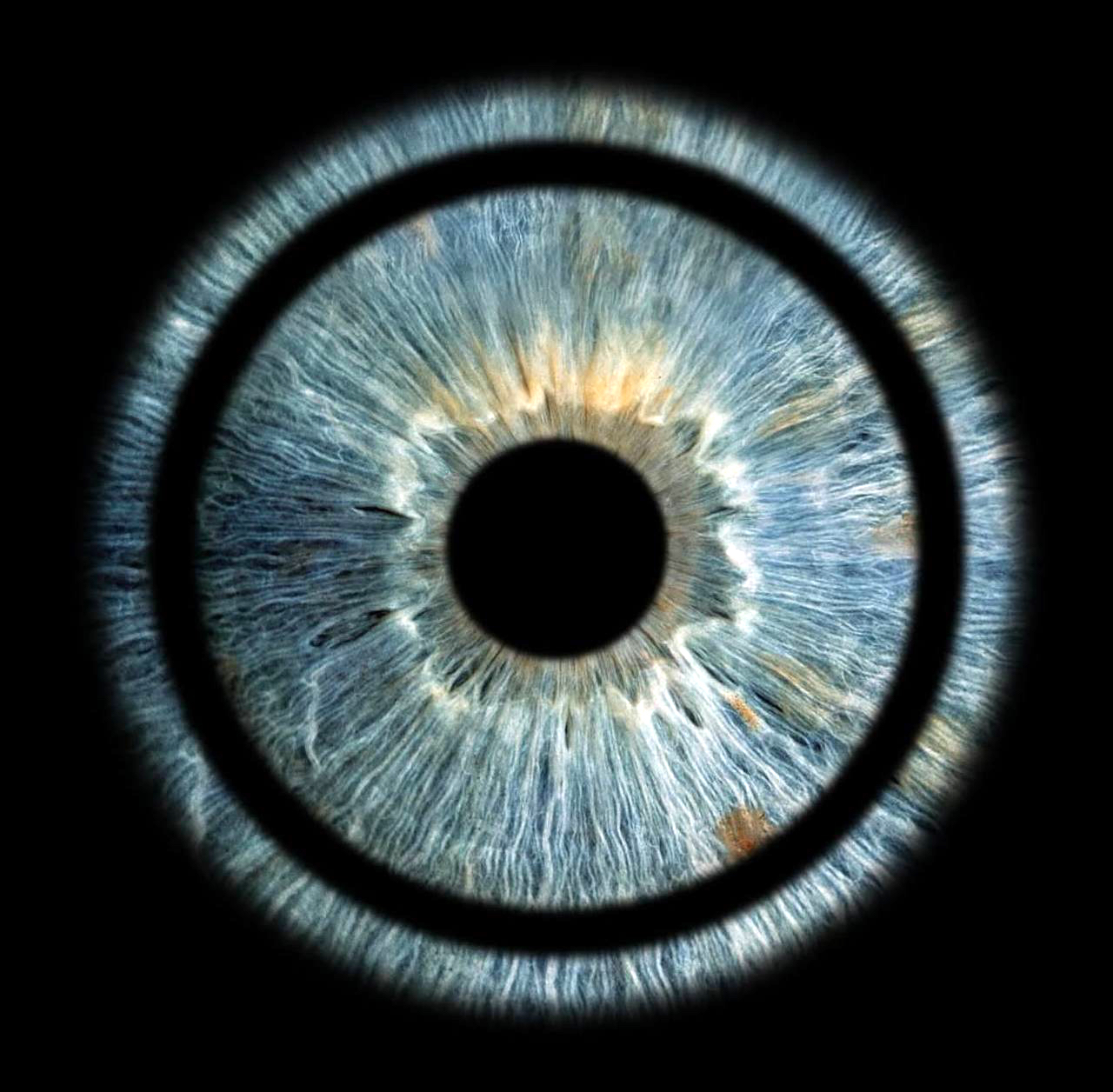 photo_2025-05-05 23.14_edited