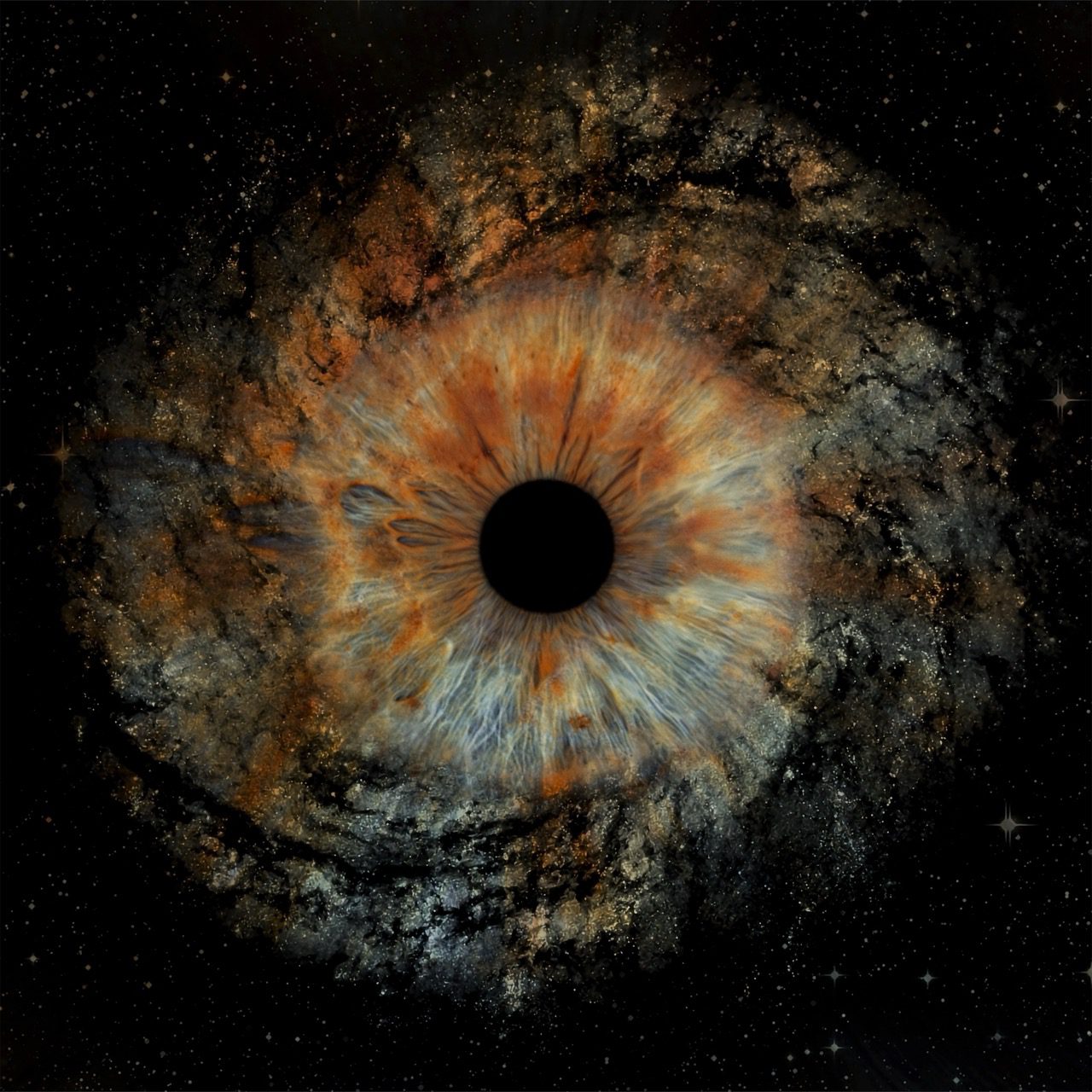 H40 Large