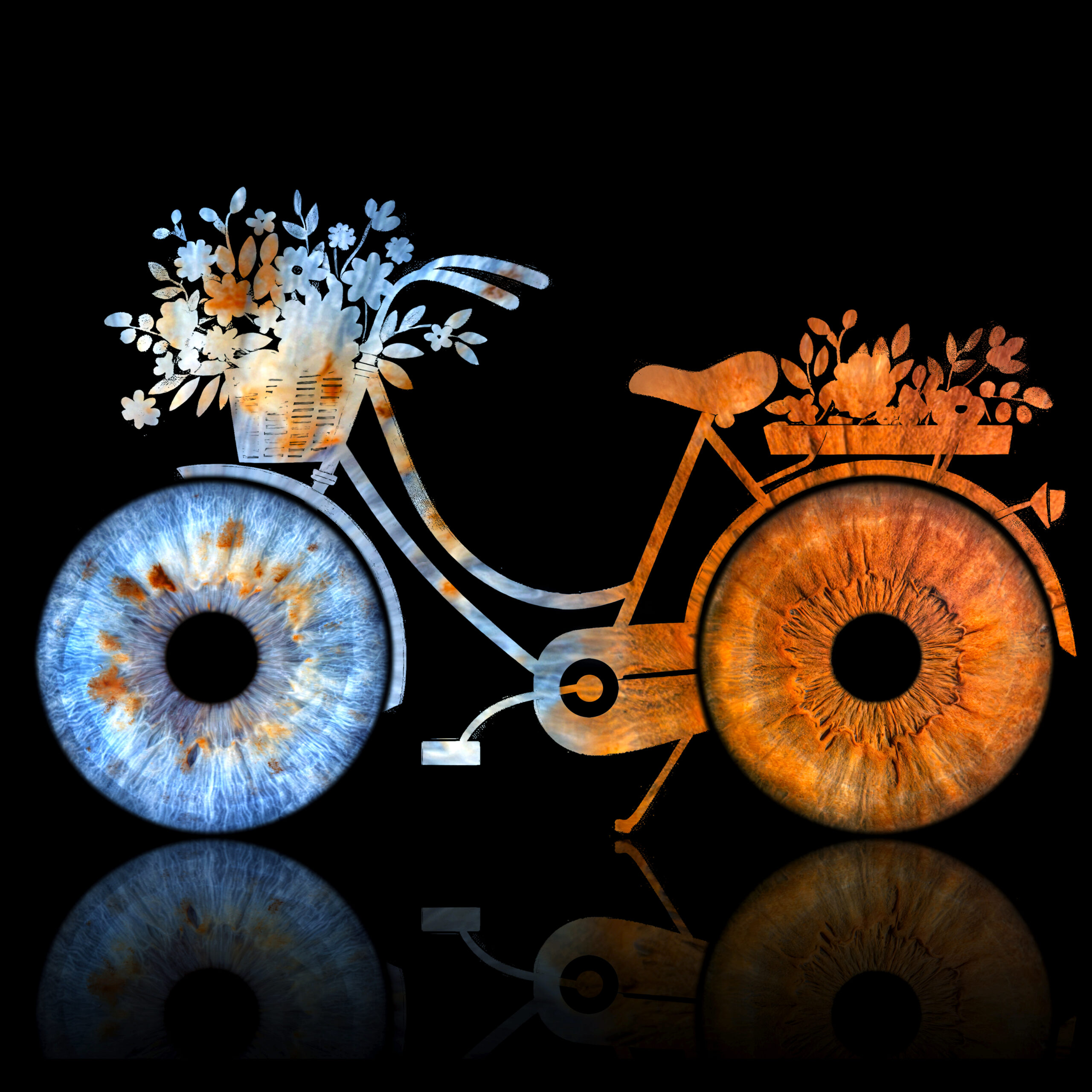 Iris bike